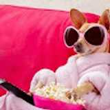 claudia V. avatar icon