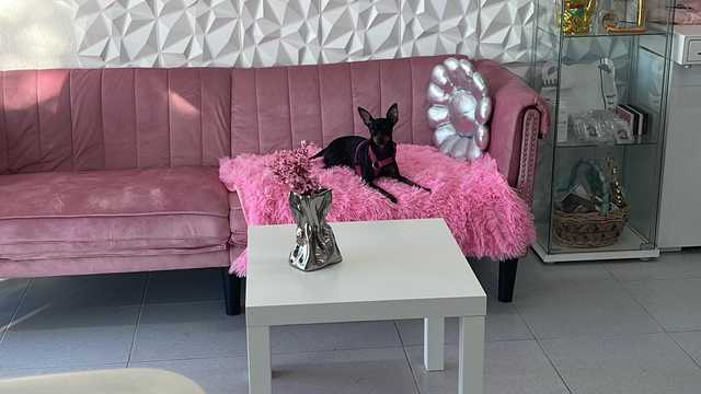 Manicurista Técnica Uñas Acrilicas