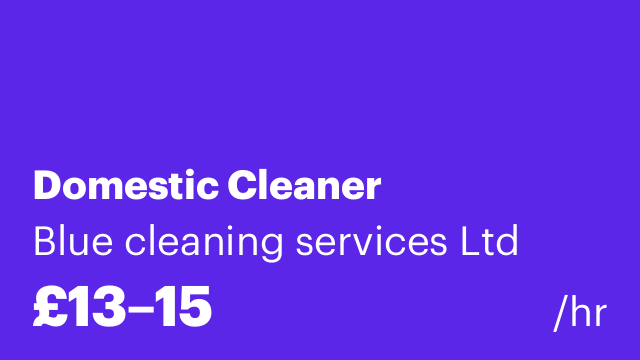 Domestic Cleaner