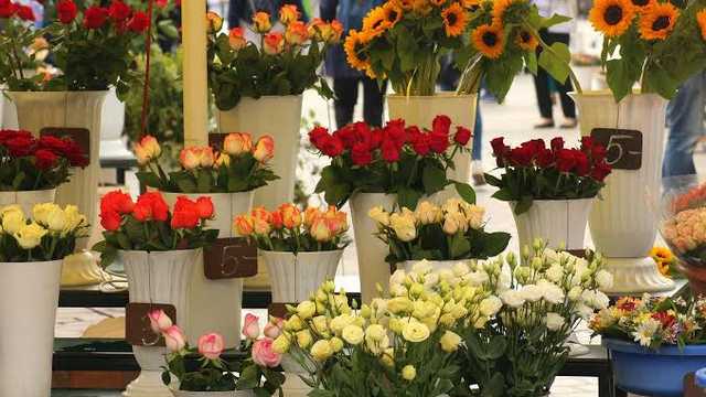 Florista