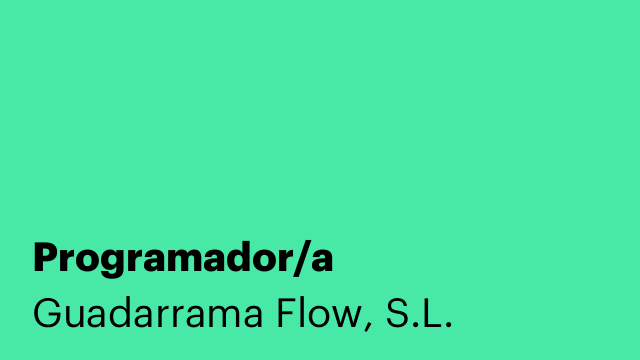 Programador/a