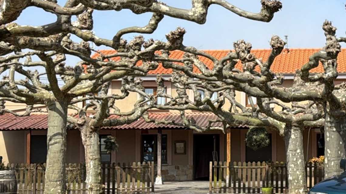 Casa Tero cover image