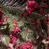 Eduard R. avatar icon