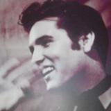 Sisco Molina avatar icon