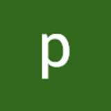 pablo G. avatar icon