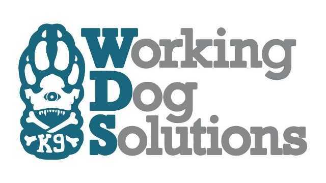 Cuidador Residencia Canina (Limpieza)