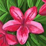 Nagore G. avatar icon