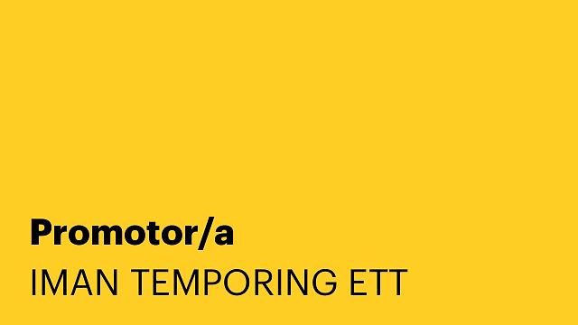 Promotor/a