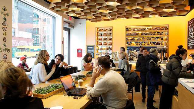 Team Member