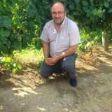 Candido C. avatar icon