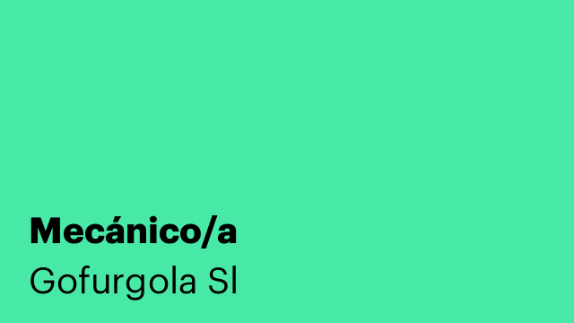 Mecánico/a