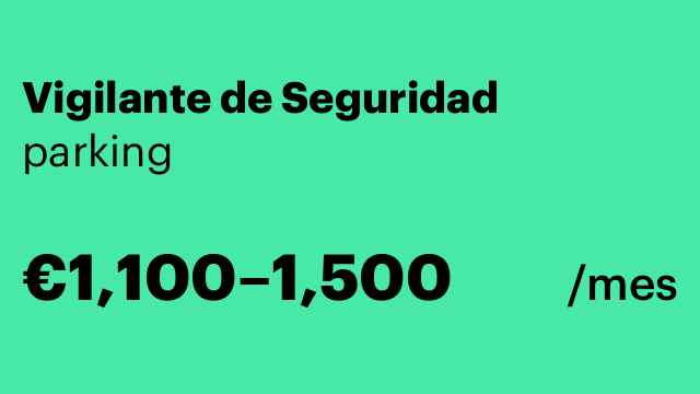Vigilante de Seguridad