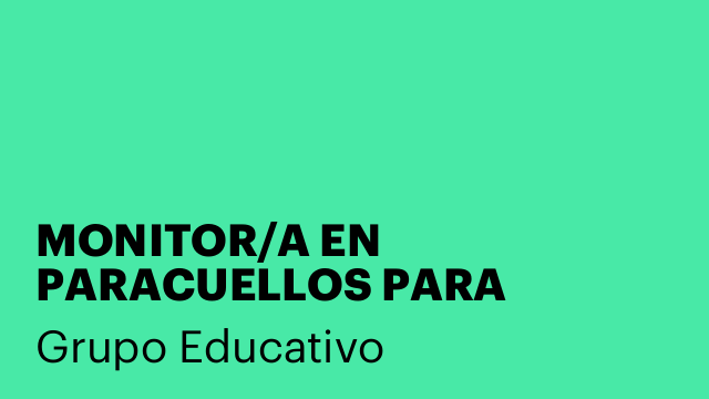 MONITOR/A EN PARACUELLOS PARA INFORMATICA