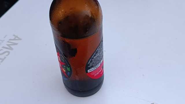 Camarero/a de Extras