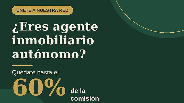 Agente Inmobiliario