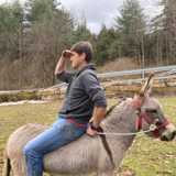 Tomas A. avatar icon