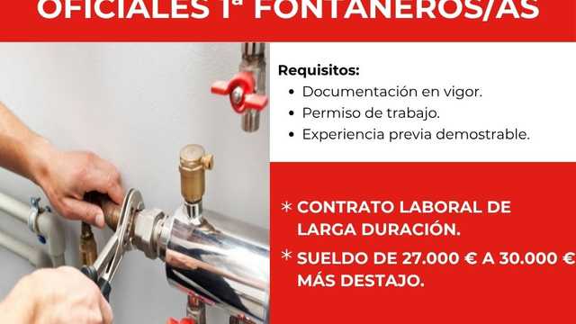Fontanero/a