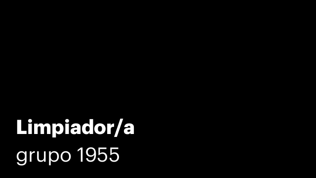 Limpiador/a