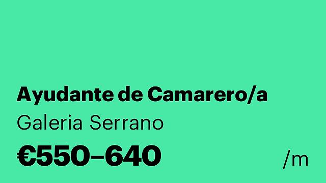 Ayudante de Camarero/a