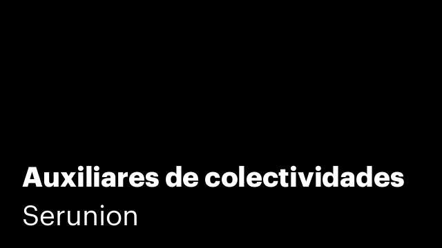 Auxiliares de colectividades