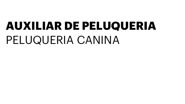 AUXILIAR DE PELUQUERIA