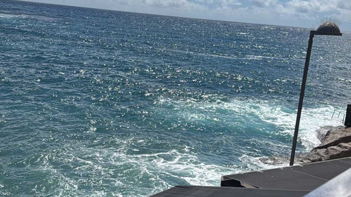 Mirlo La Caleta cover image