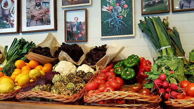 RESPONSABLE DE CUARTO DE VERDURAS INDUSTRIAL