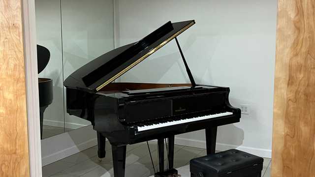 Music Teacher