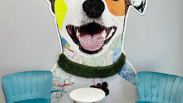 Flex Front Desk/Dog Handling - Rover