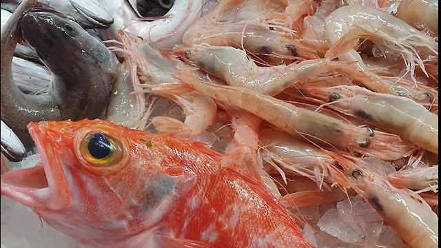 Dependiente Pescaderia