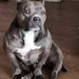 Oliver C. avatar icon