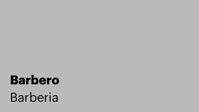 Barbero