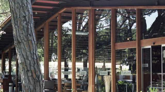 Camarero/a de Sala/Terraza