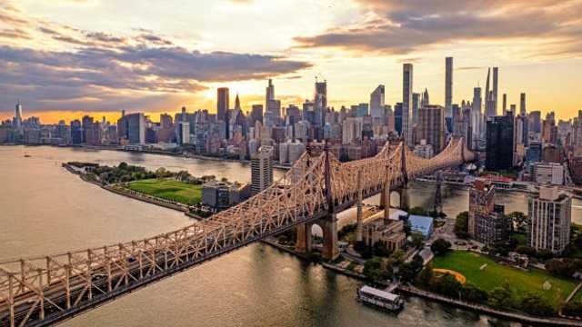 Beer Sales Representative