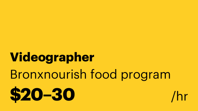 Videographer