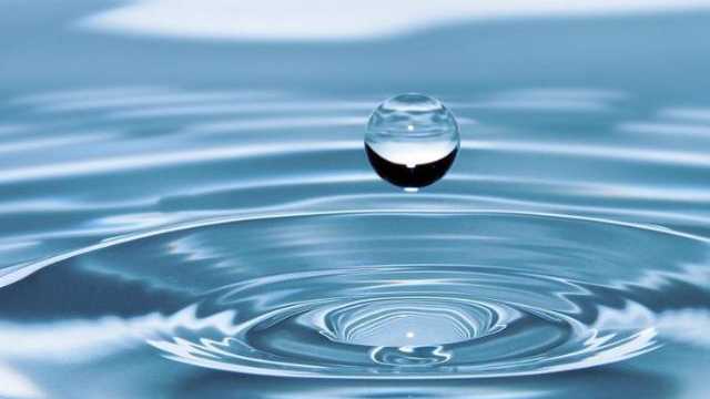 Promotor/a Comercial