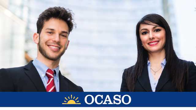 EJECUTIVO COMERCIAL SEGUROS  POLA DE LENA