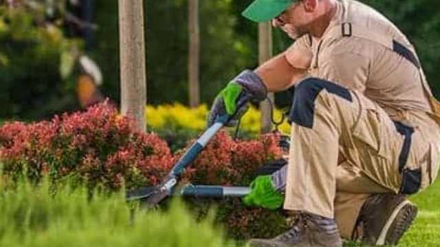 Operario/a de Mantenimiento y jardinería