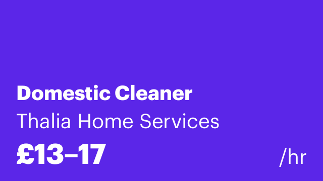 Domestic Cleaner