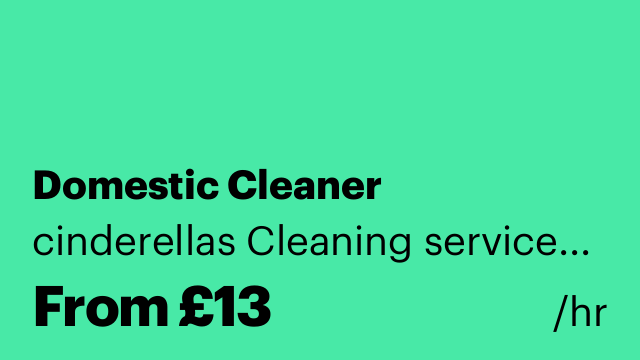 Domestic Cleaner