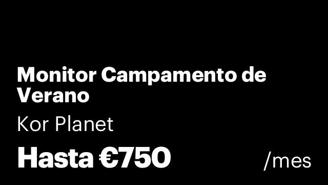 Monitor Campamento de Verano