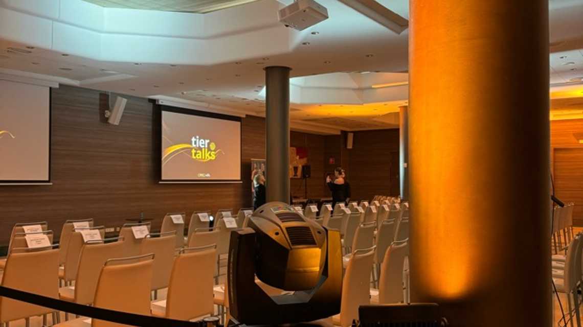 SOUNDMAX PRODUCCIONES cover image