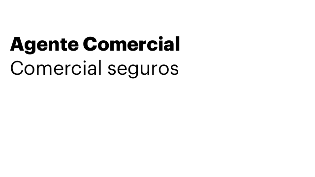 Agente Comercial