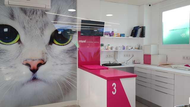 Auxiliar de Veterinaria