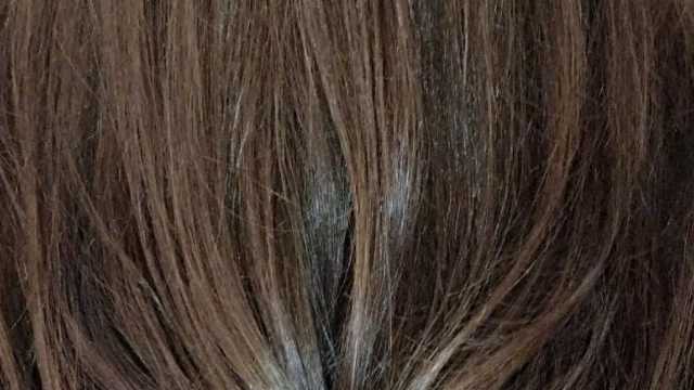 Oficial de Peluquería con conocimiento de estetica