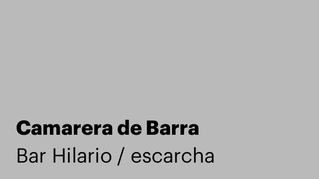 Camarera de Barra