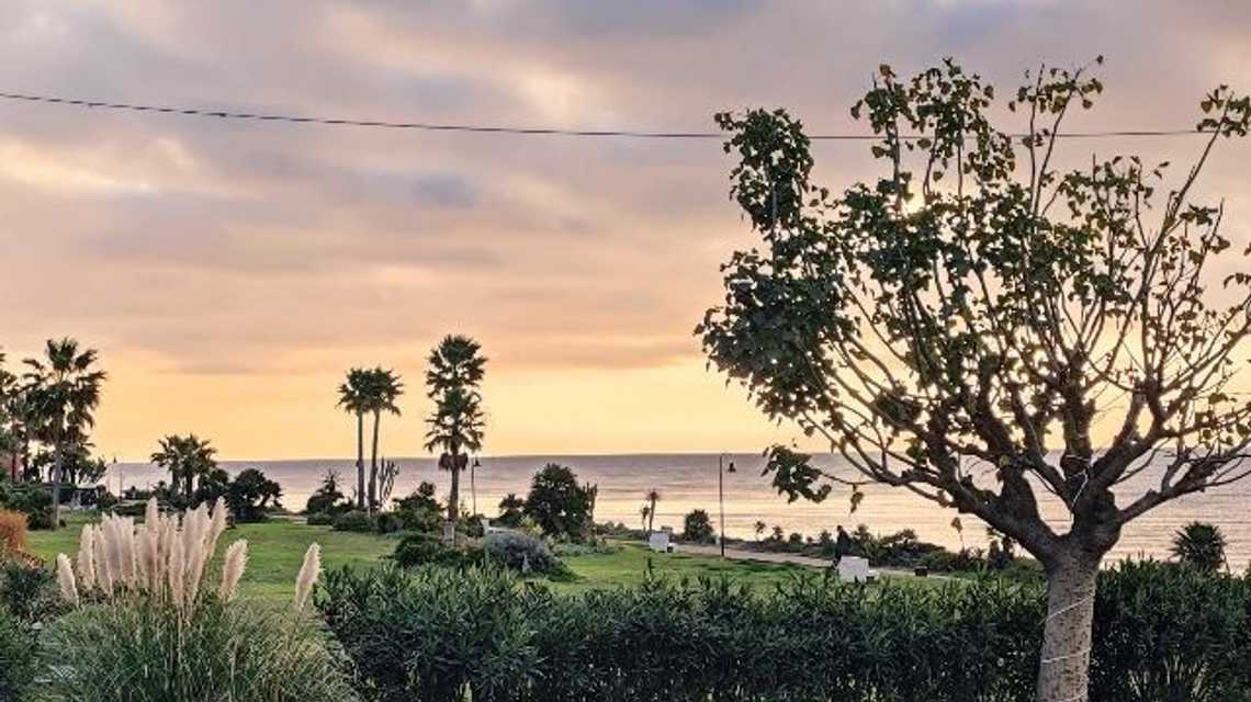 Tikitano  cover image