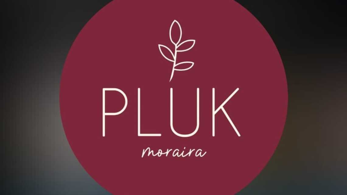 PLUK JAVEA SL cover image