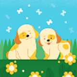 Andreea Victoria avatar icon