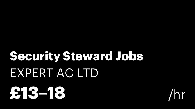 Security Steward Jobs